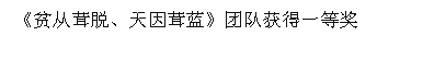 《贫从茸脱、天因茸蓝》团队获得一等奖